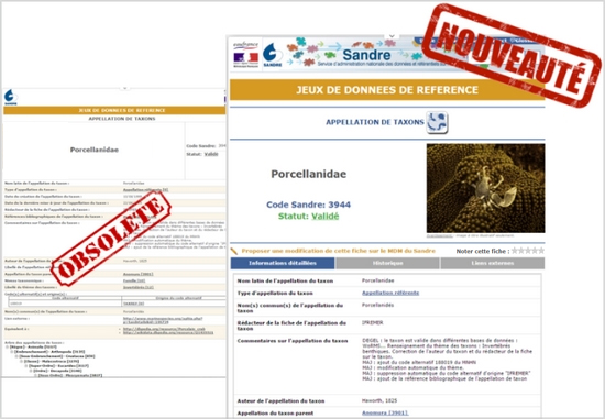 Fiches références