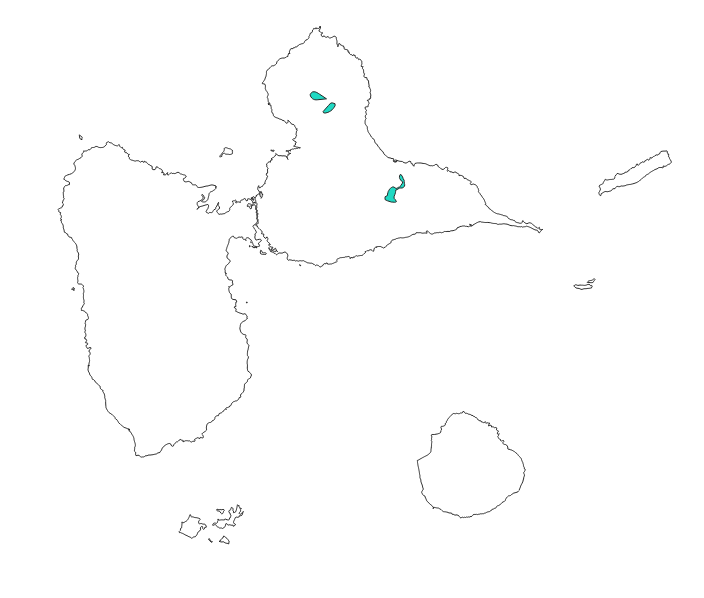 overview