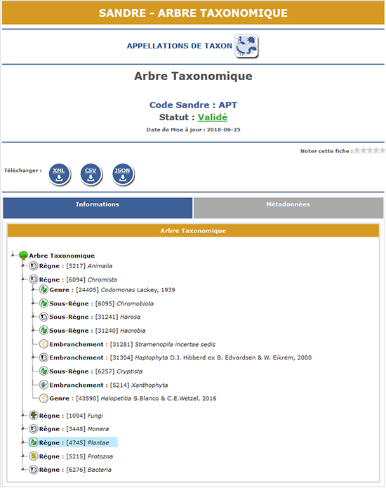 Arbre taxonomique Arbre taxonomique